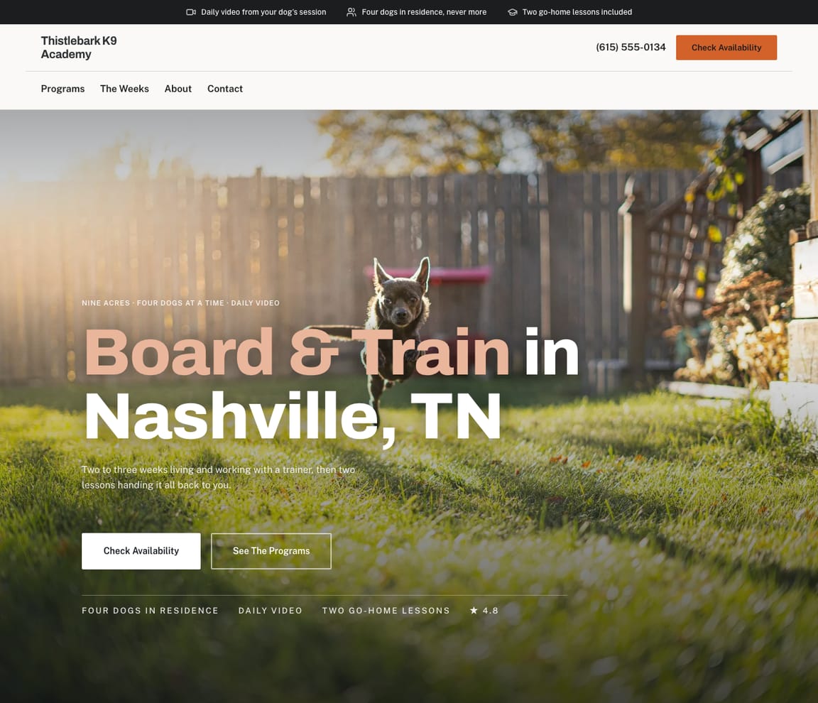 Board & Train website template preview