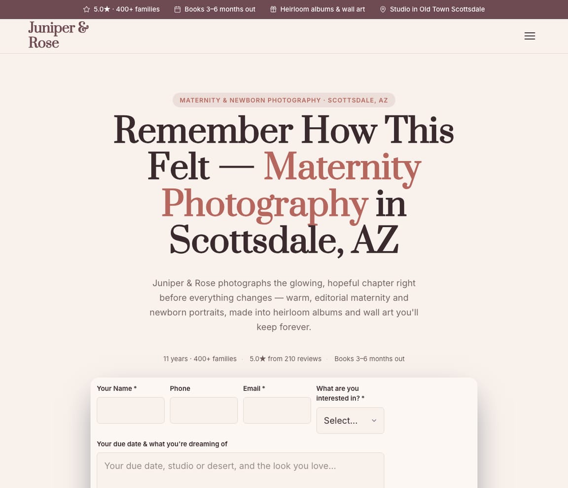 Maternity Photographer website template preview