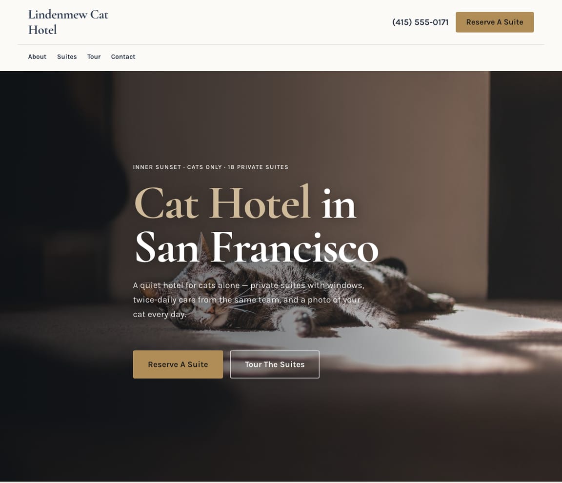 Cat Boarding Hotel website template preview