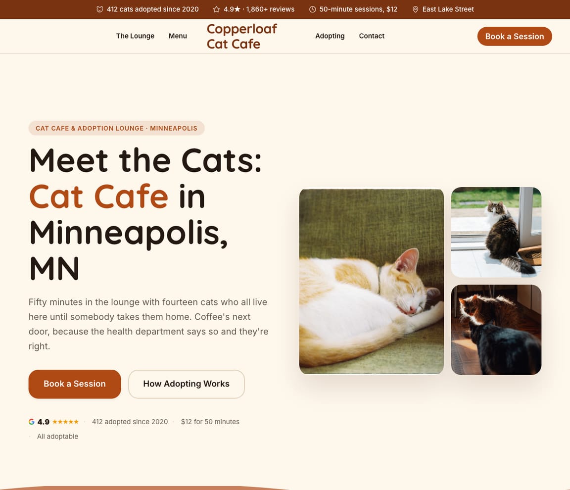 Cat Cafe & Adoption Lounge website template preview