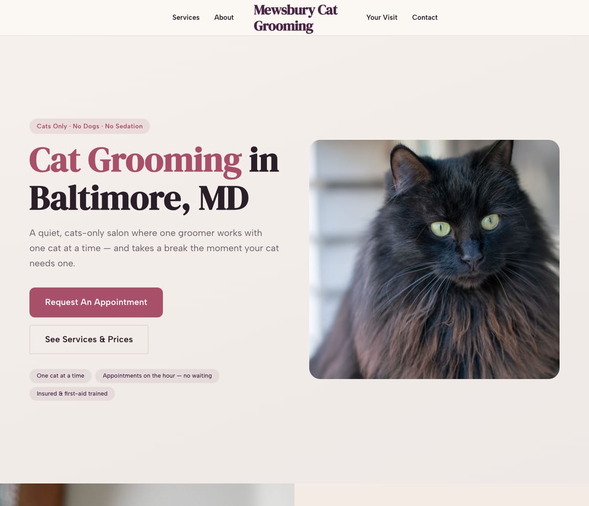 Home page of the Cat Groomer website template, with the headline “Cat Grooming in Baltimore, MD”