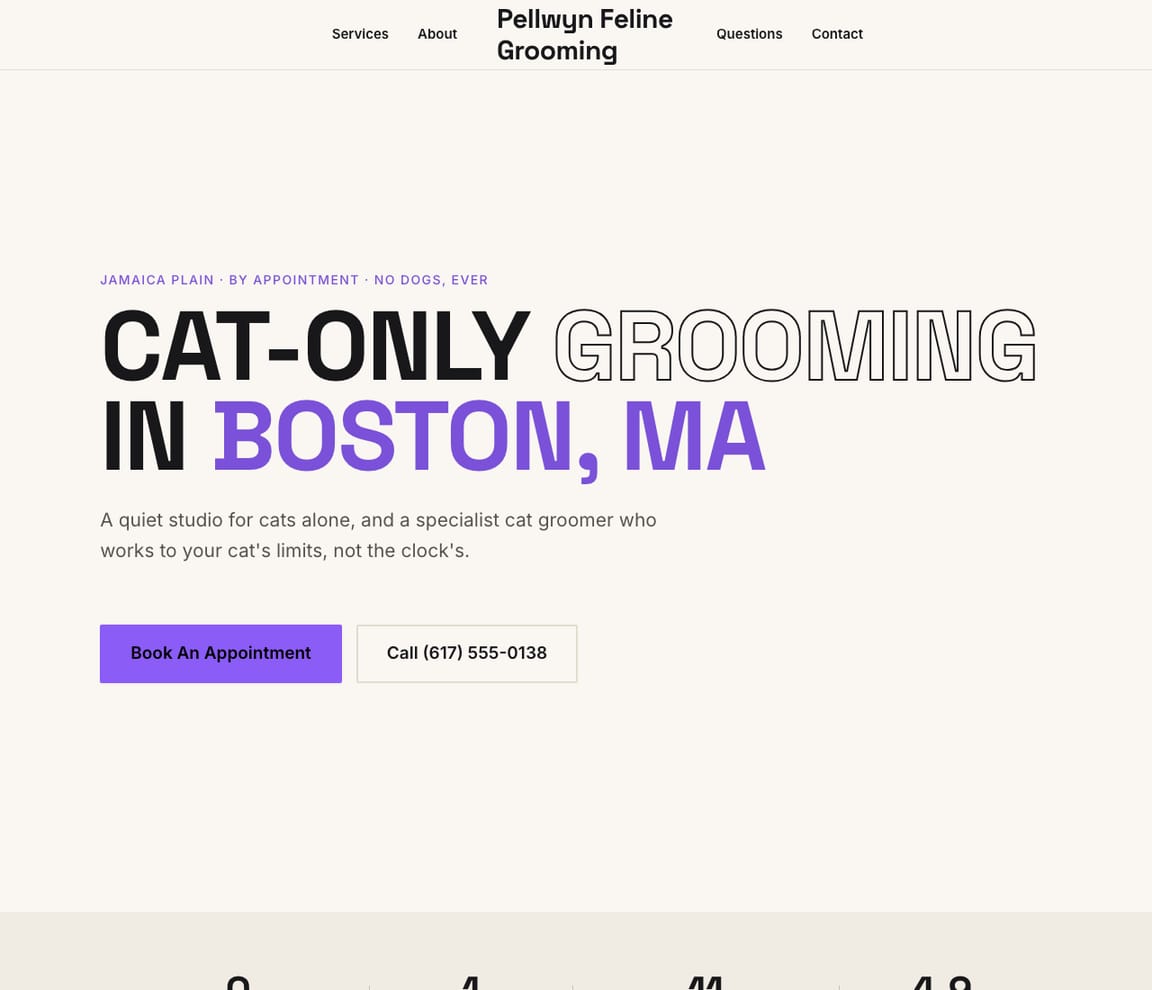 Cat Grooming website template preview