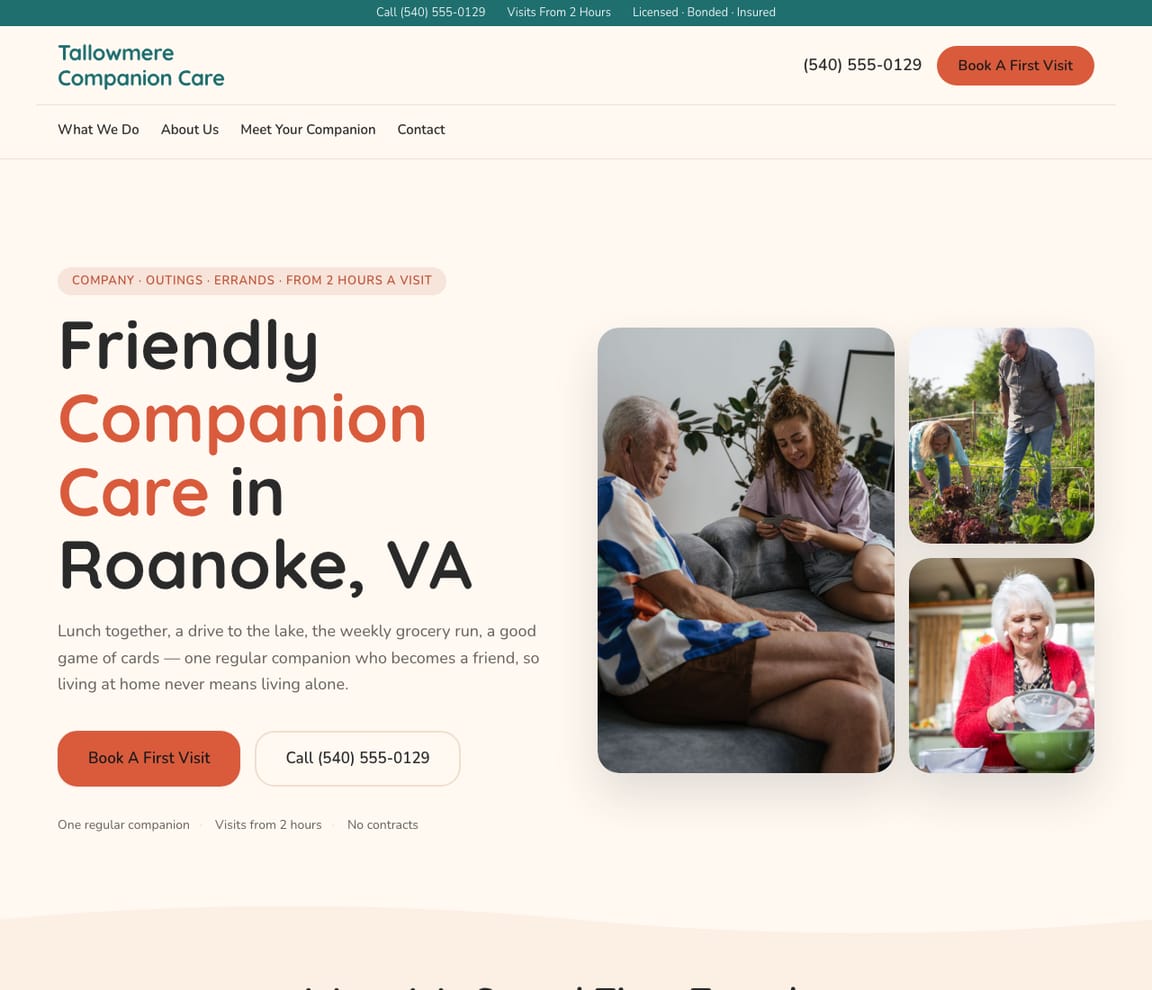 Companion Care website template preview