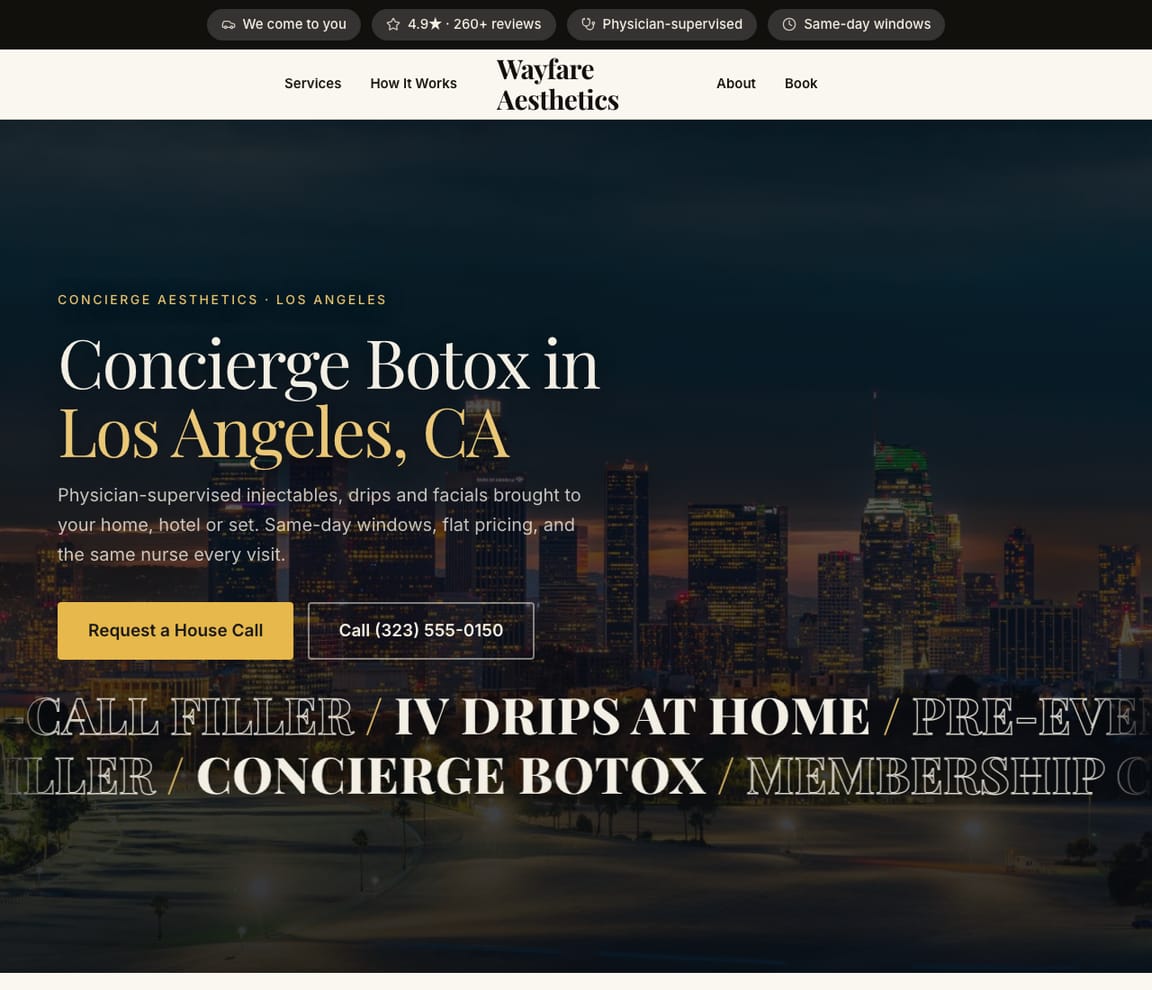 Concierge Mobile Aesthetics website template preview
