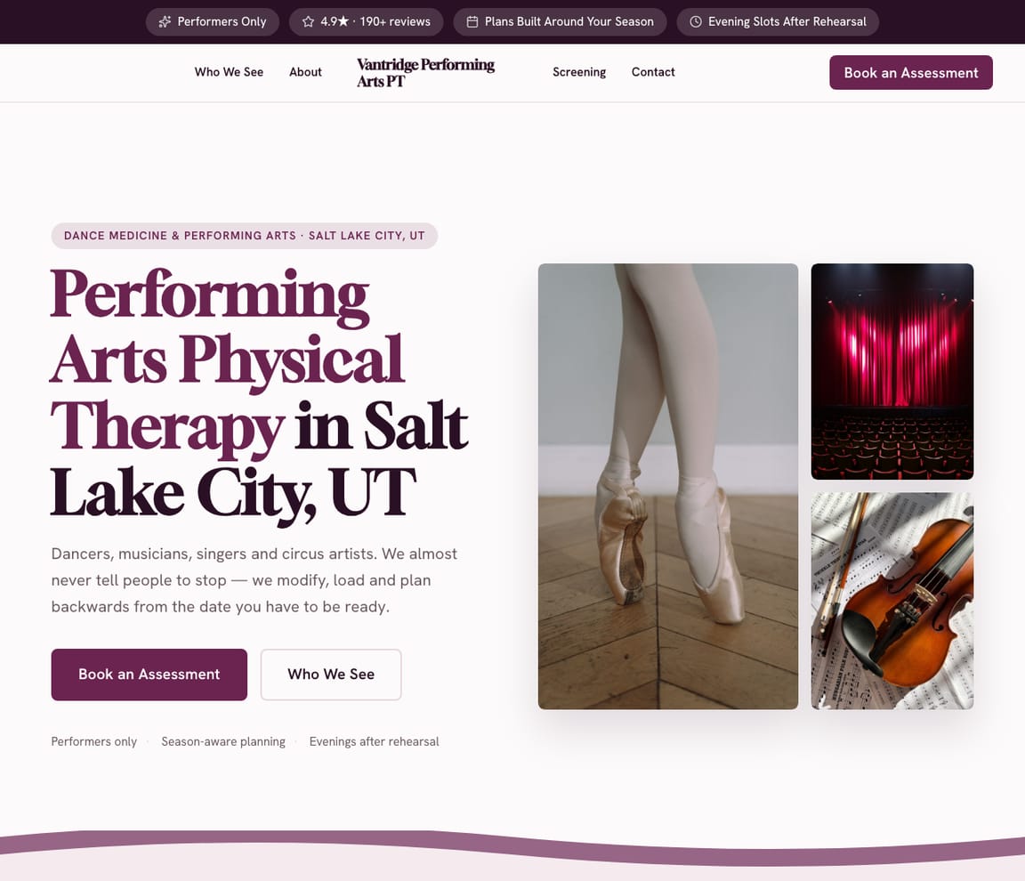 Dance Medicine & Performing Arts PT website template preview