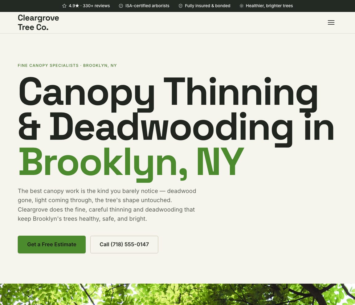 Deadwooding & Canopy Thinning website template preview