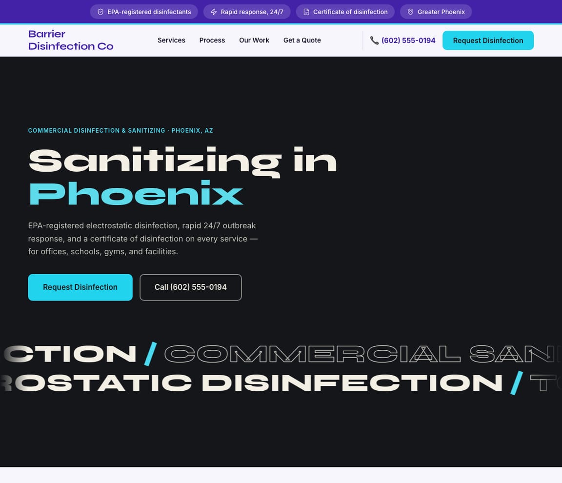 Disinfection & Sanitizing website template preview