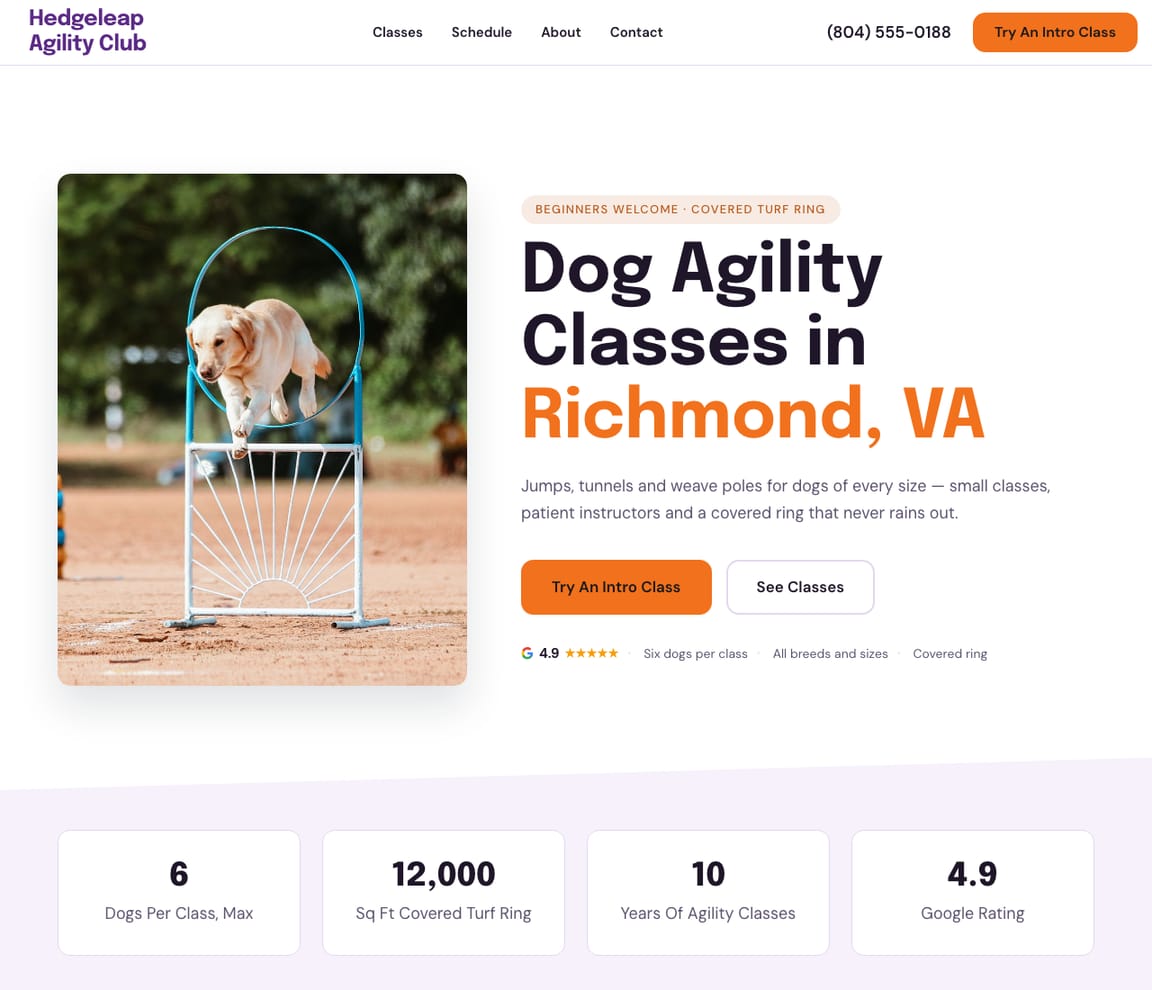 Dog Agility Classes website template preview