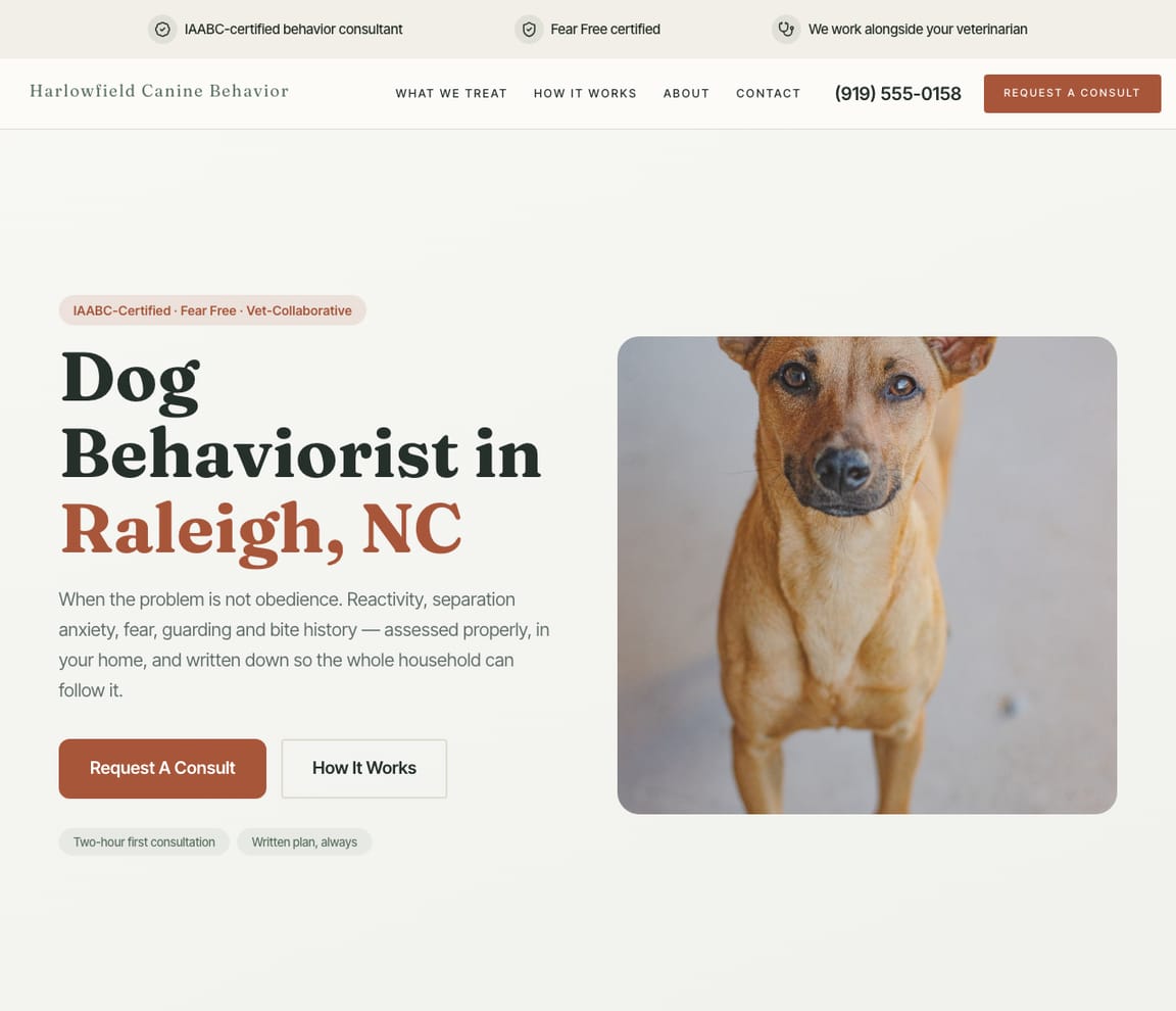 Dog Behavior Consultant website template preview