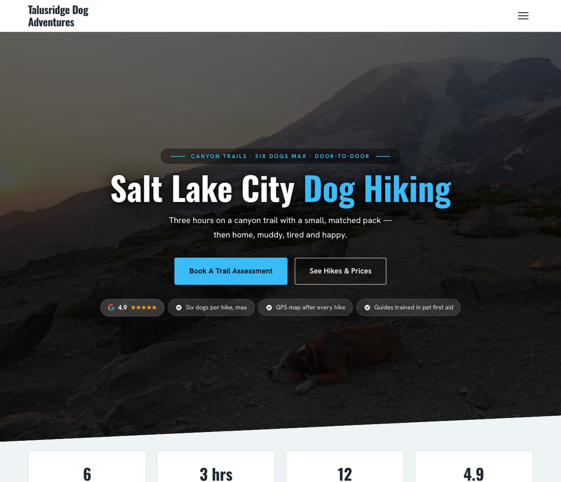 Dog Hiking Adventures website template preview