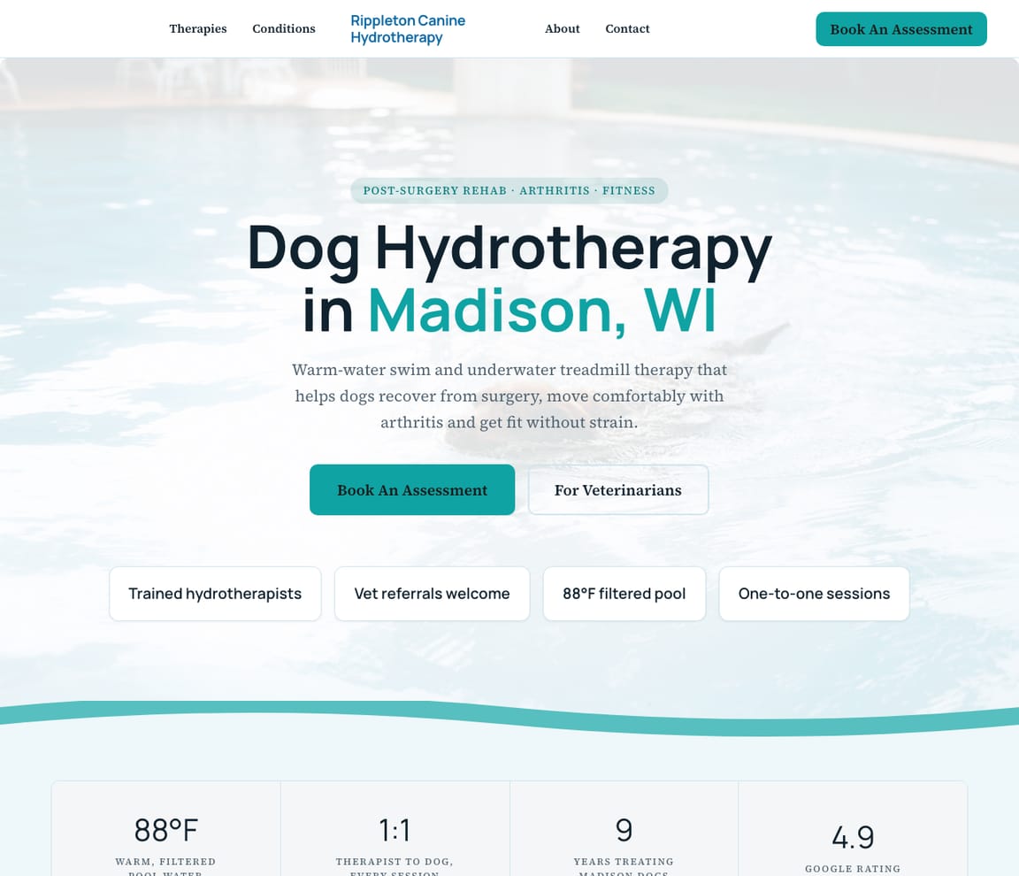 Canine Hydrotherapy website template preview