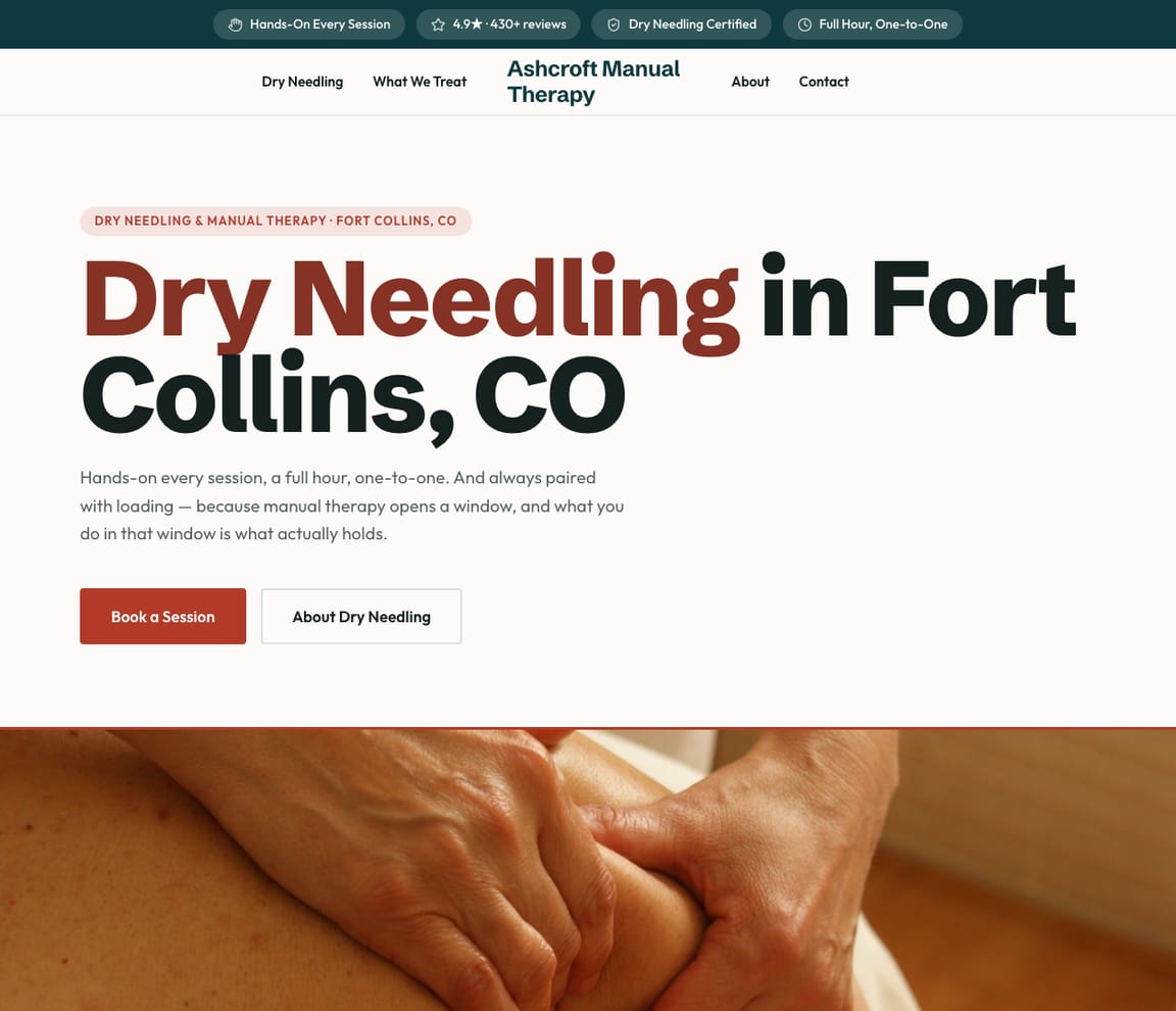 Dry Needling & Manual Therapy website template preview