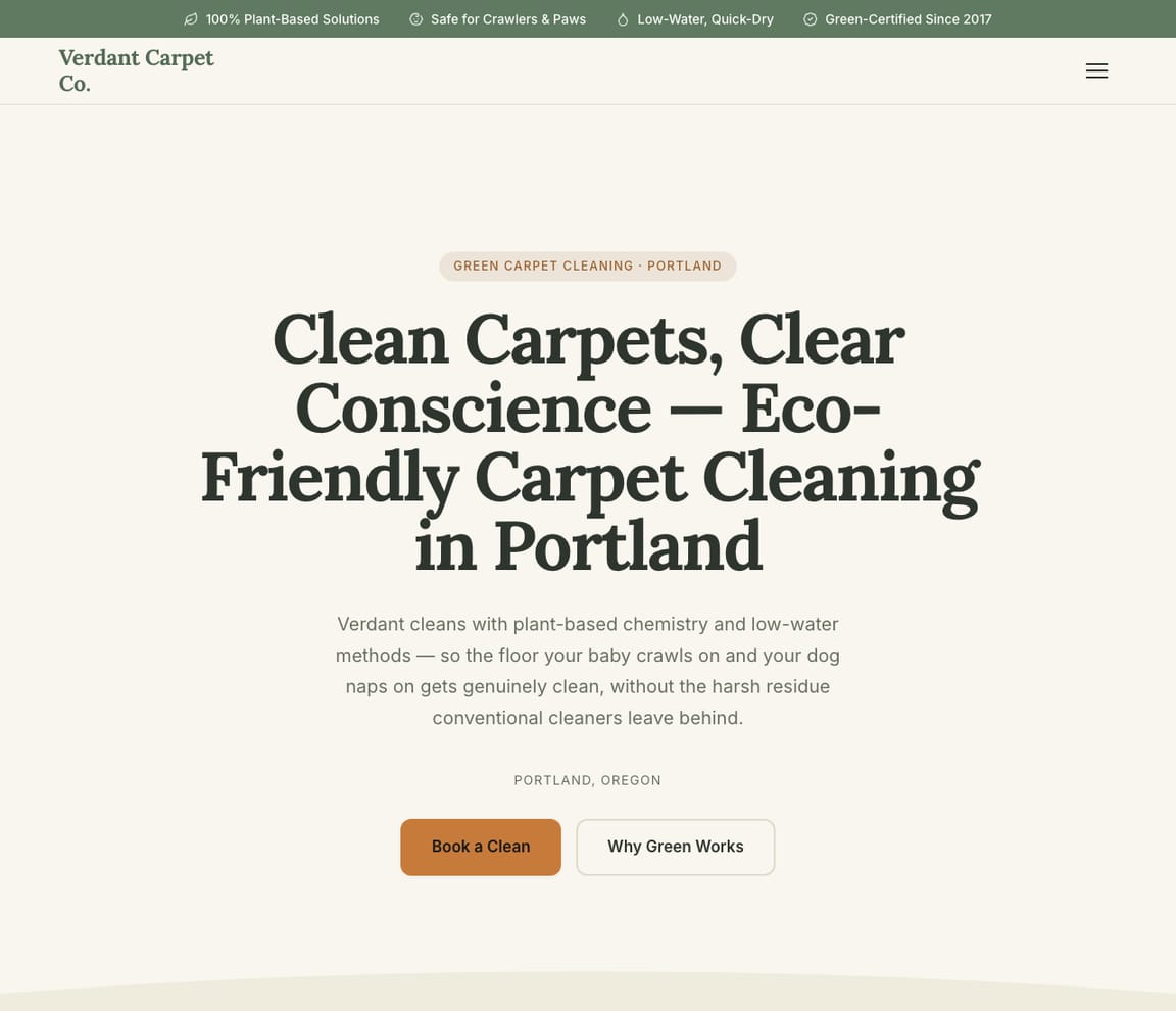 Eco Carpet Cleaning website template preview