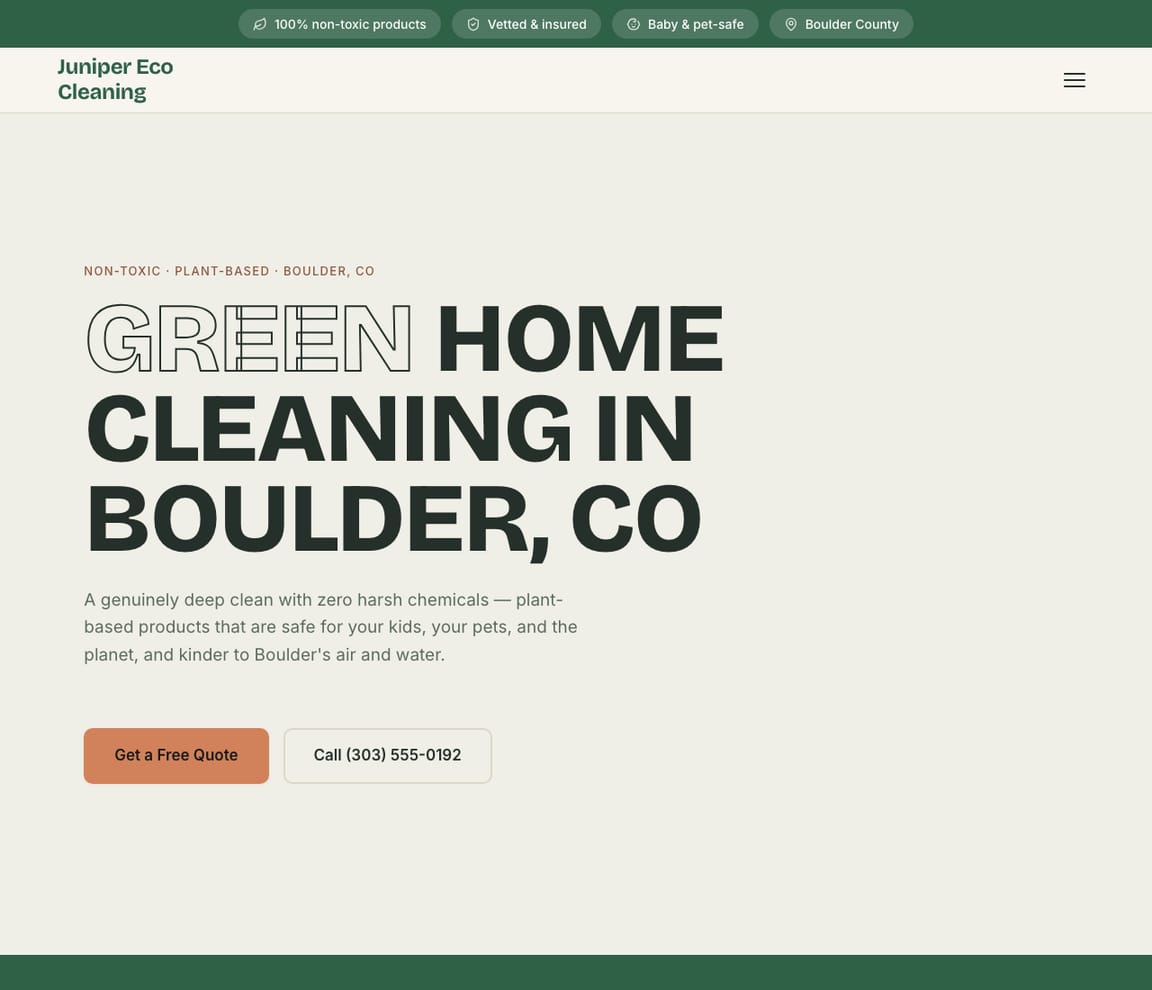 Eco / Green Cleaning website template preview