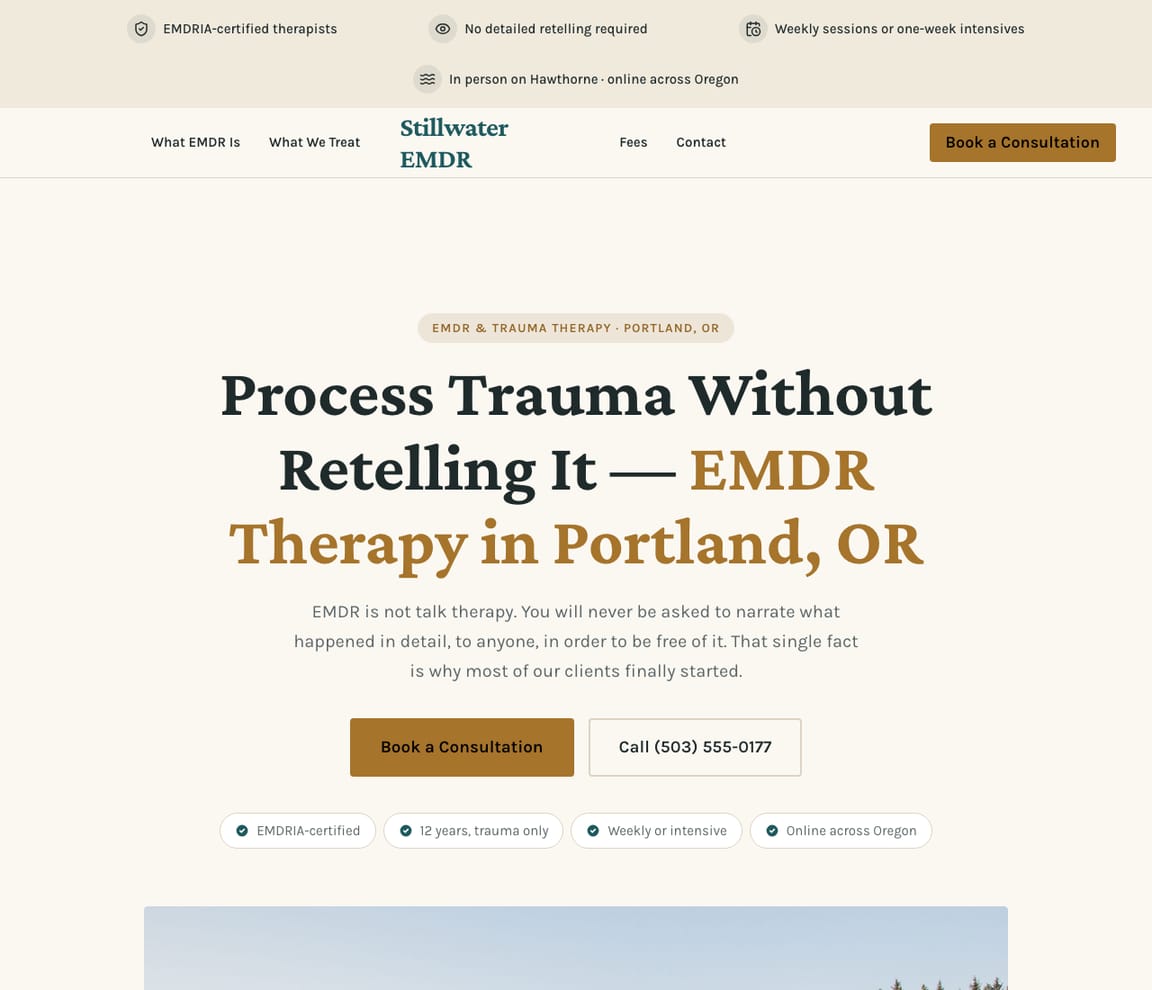 EMDR & Trauma Therapy website template preview