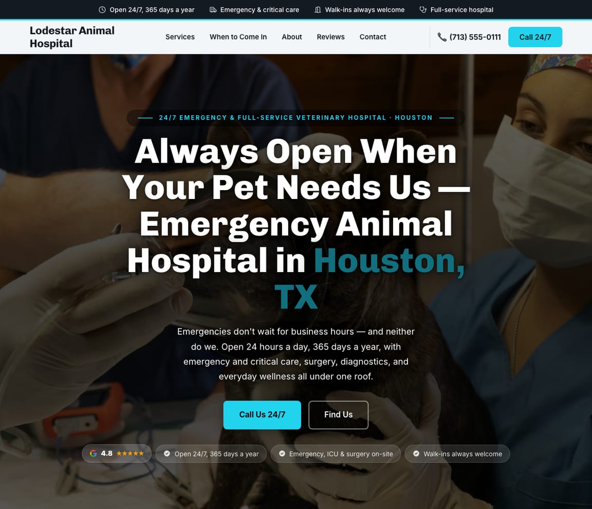24/7 Emergency Animal Hospital website template preview