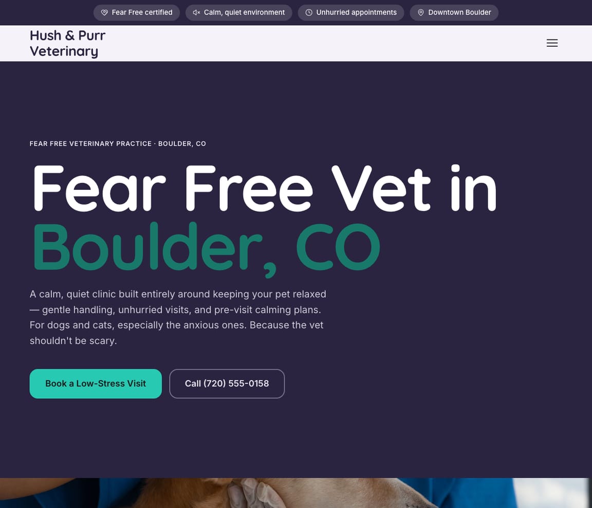 Fear Free / Low-Stress Vet website template preview
