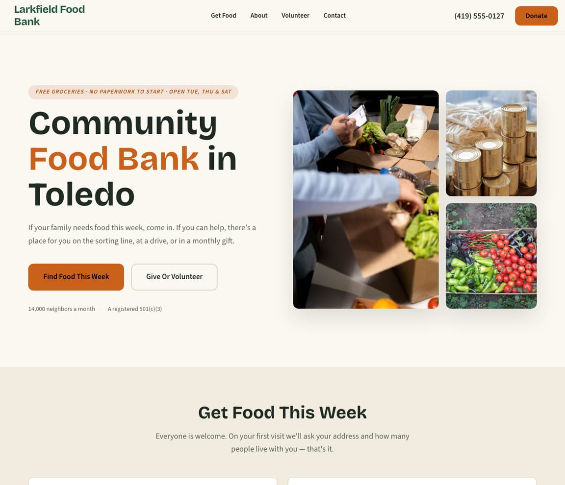 Food Bank website template preview