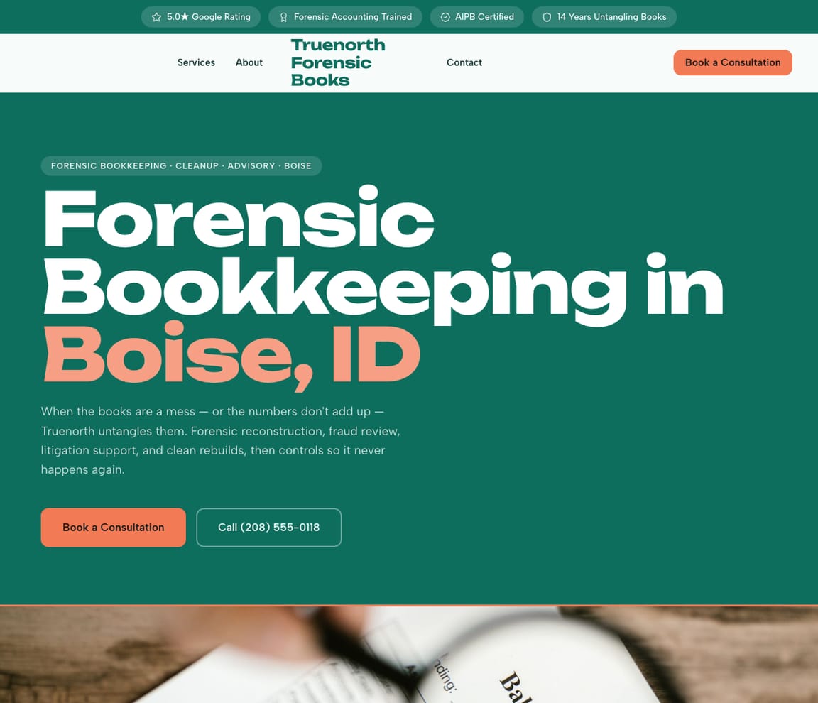 Forensic & Cleanup Bookkeeping website template preview