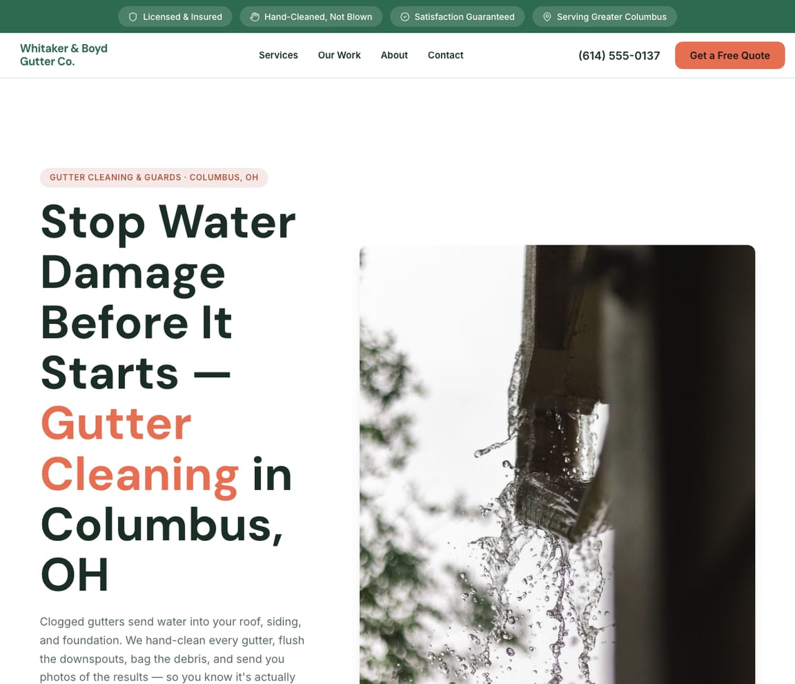 Gutter Cleaning website template preview