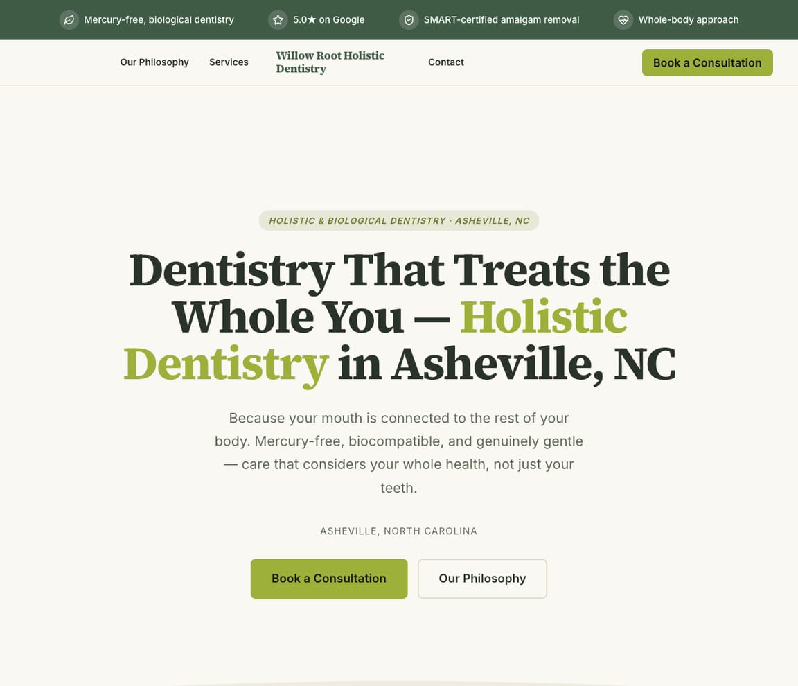 Holistic Dentist website template preview