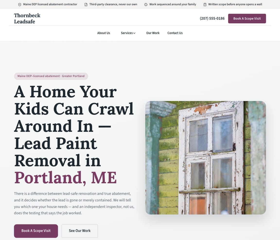 Lead Paint Removal website template preview