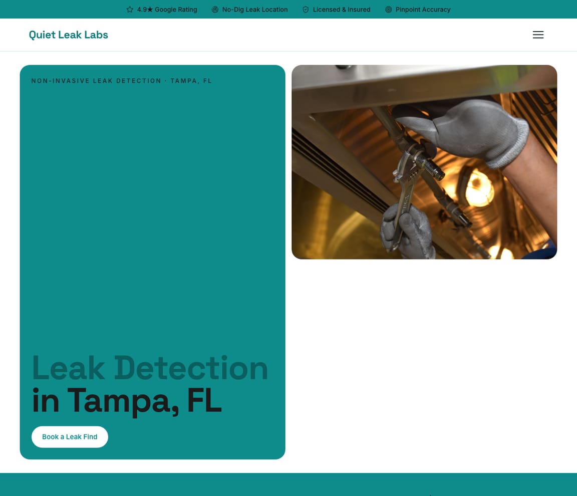 Plumber - Leak Detection website template preview