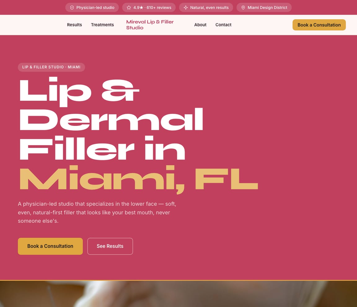 Lip & Filler Studio website template preview