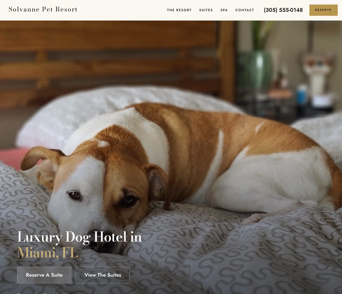 Luxury Dog Hotel & Spa website template preview