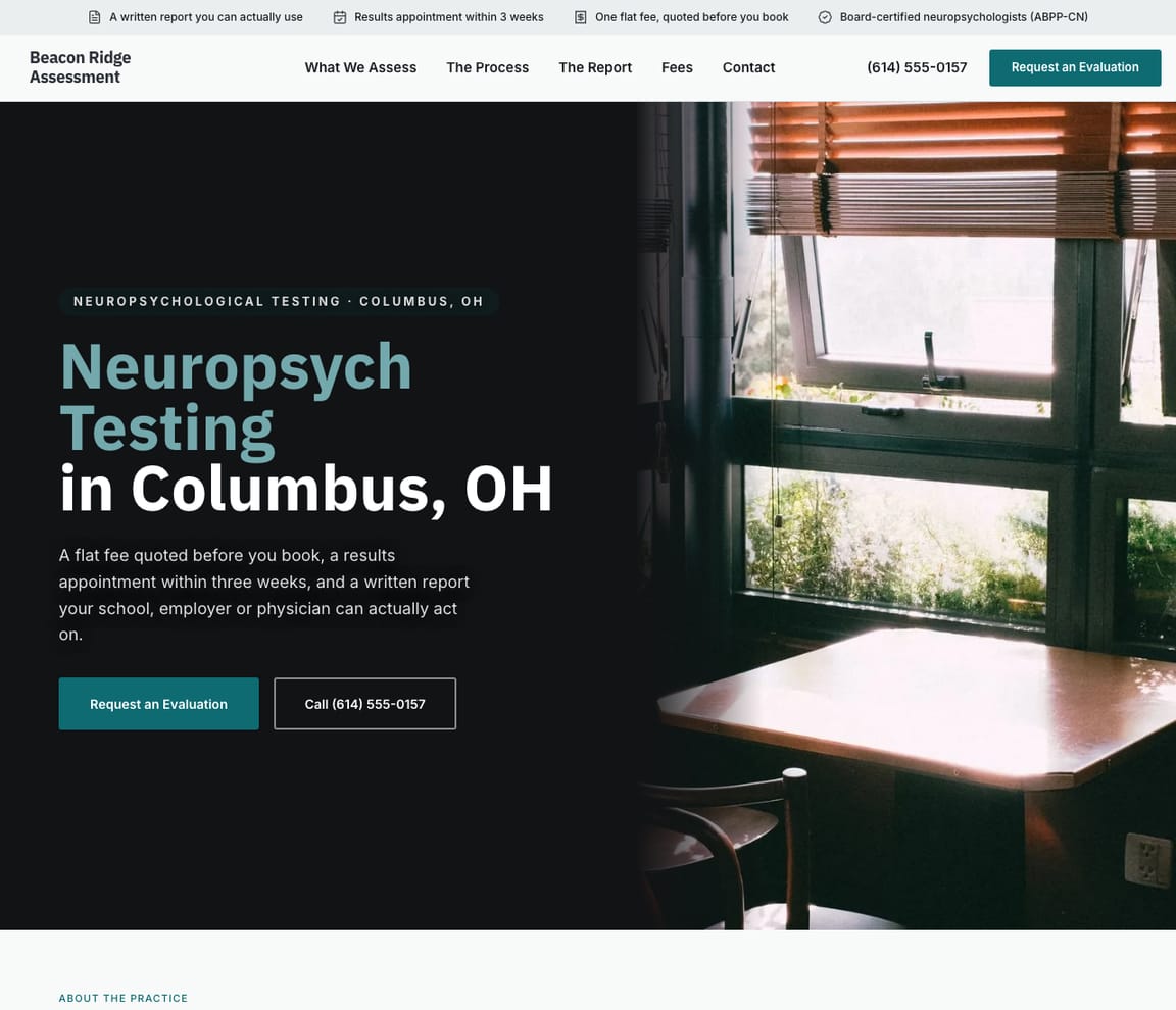 Neuropsychological Testing website template preview