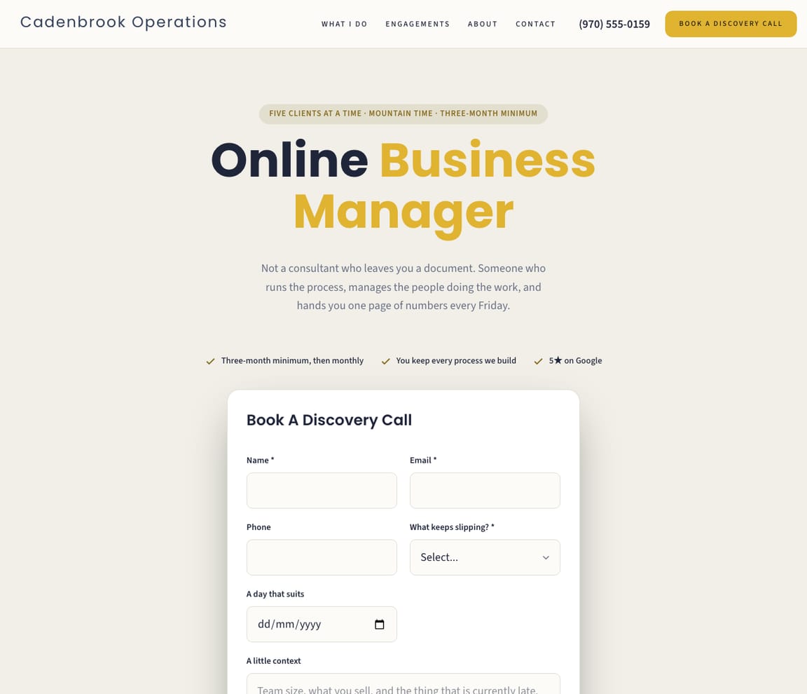 Online Business Manager website template preview