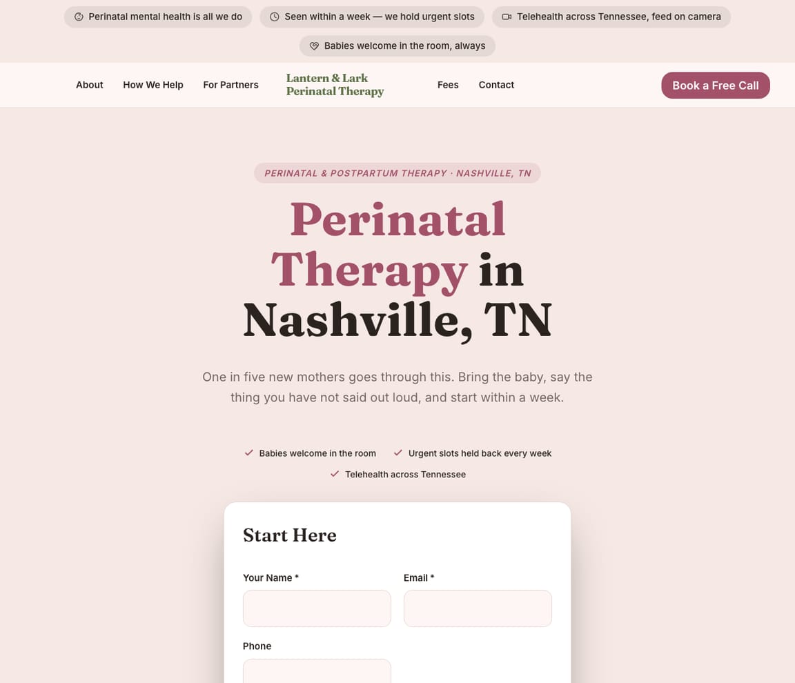 Perinatal & Postpartum Therapy website template preview