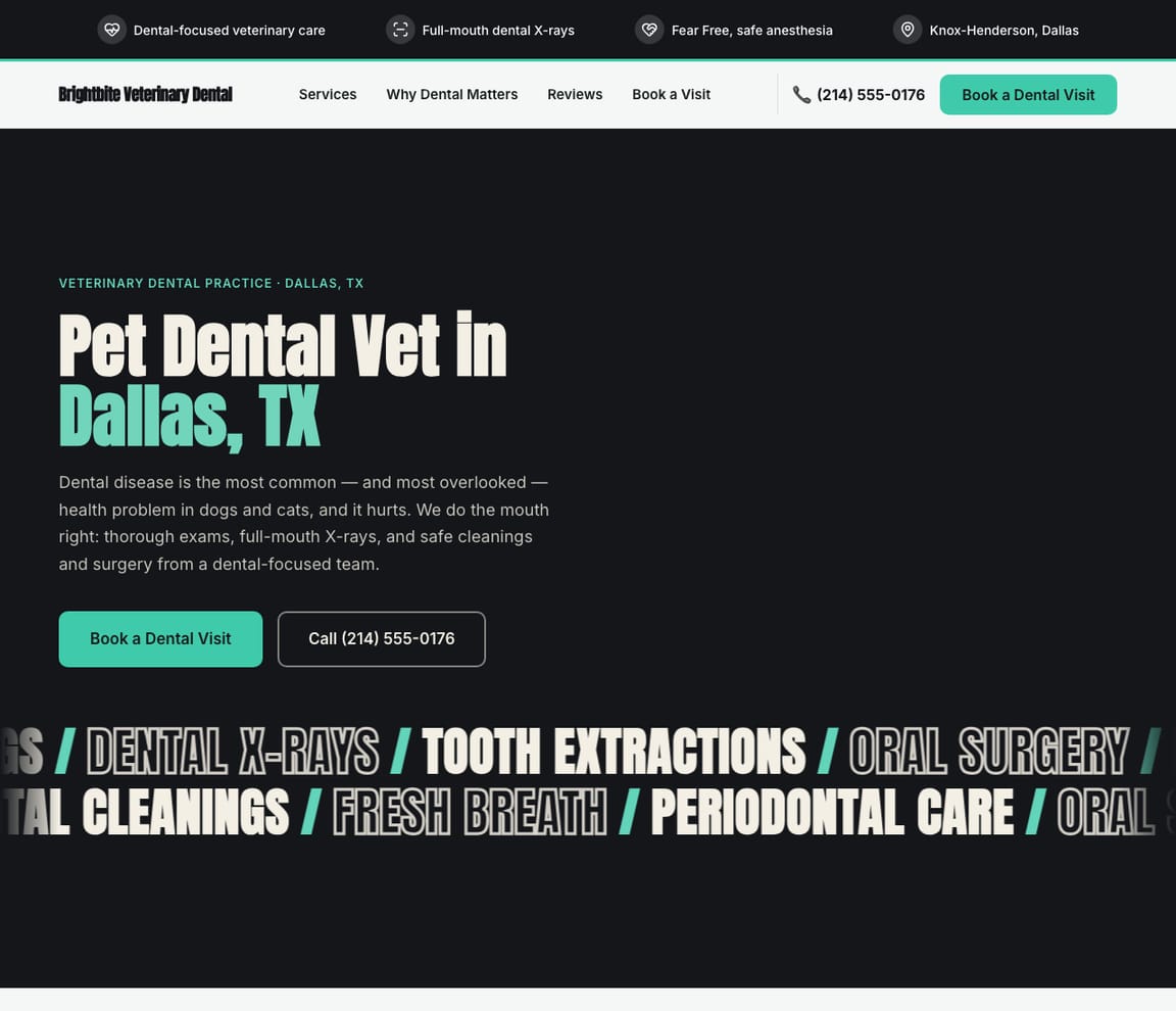 Pet Dental Veterinary Clinic website template preview