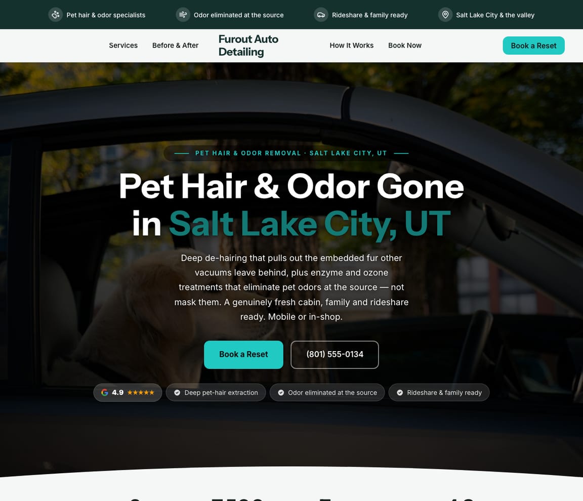 Pet Hair & Odor Removal website template preview