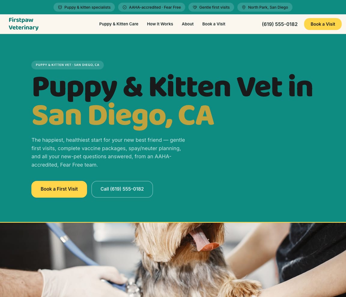 Puppy & Kitten Vet website template preview