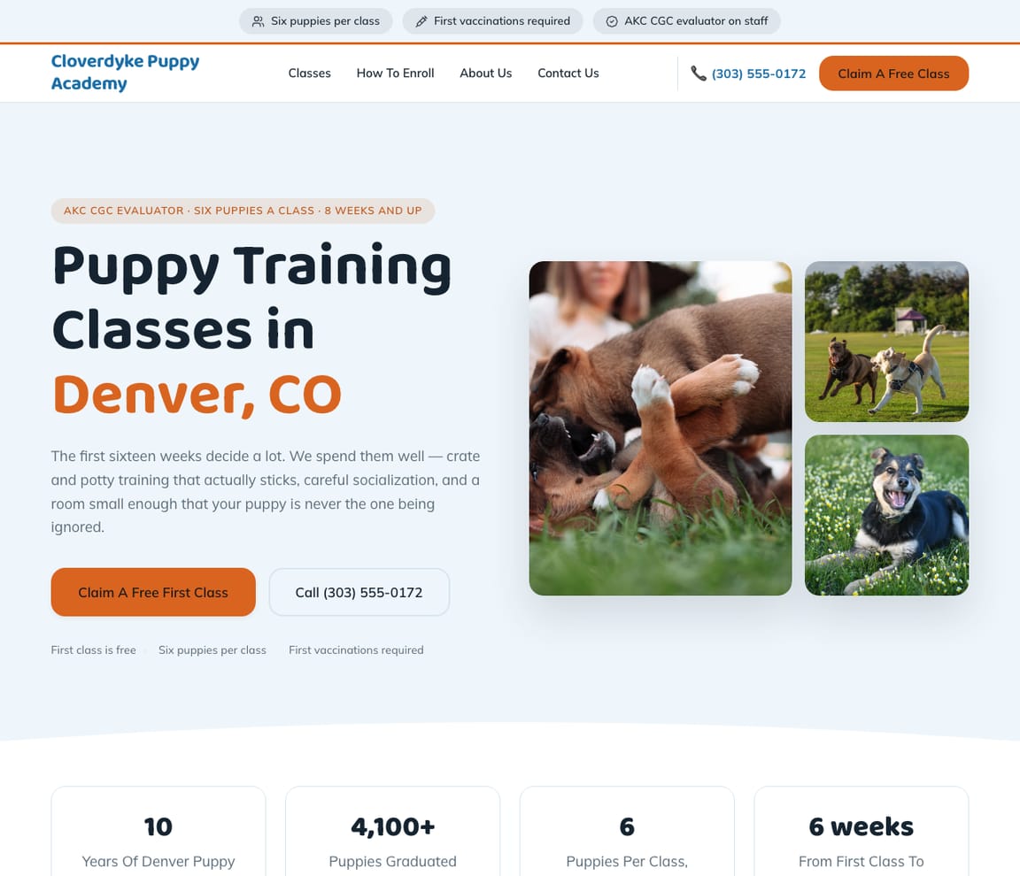 Puppy Classes website template preview