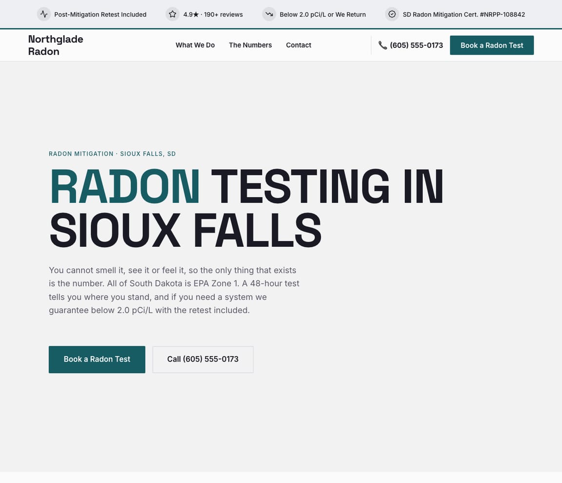 Radon Mitigation website template preview
