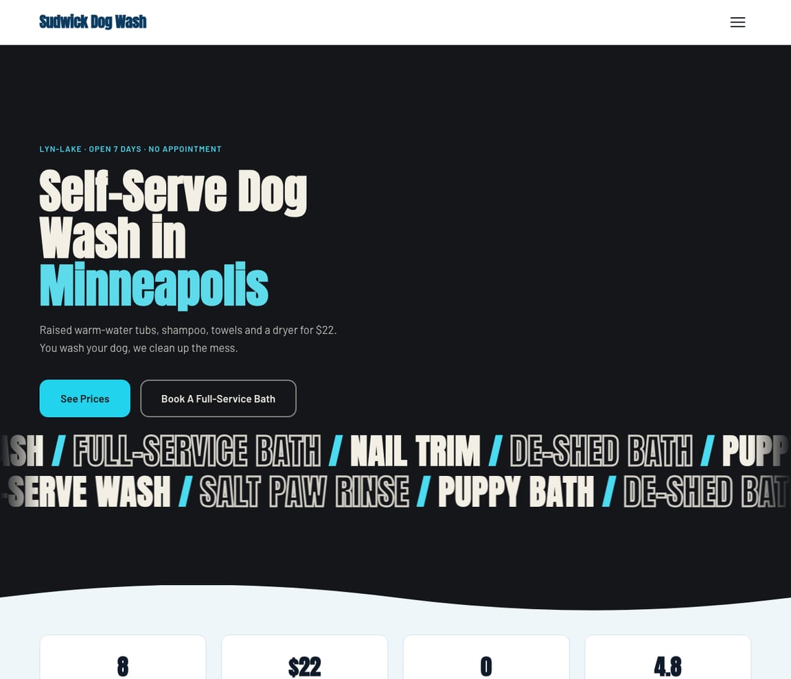 Self-Serve Dog Wash website template preview