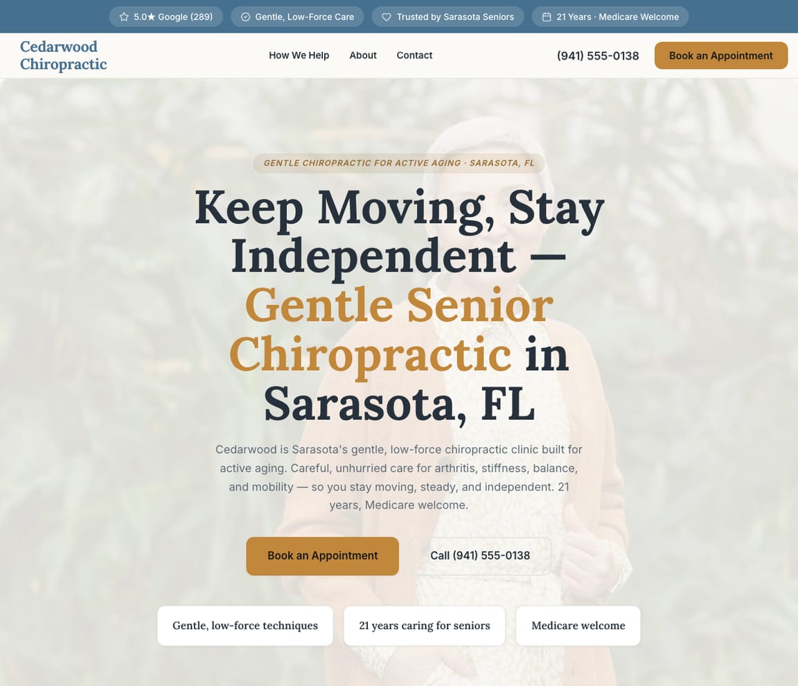 Senior & Active Aging website template preview