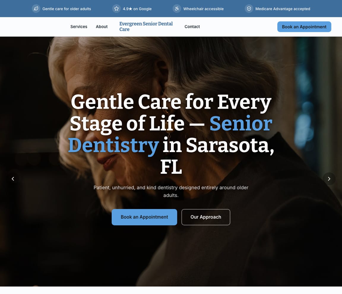 Senior Dental Care website template preview