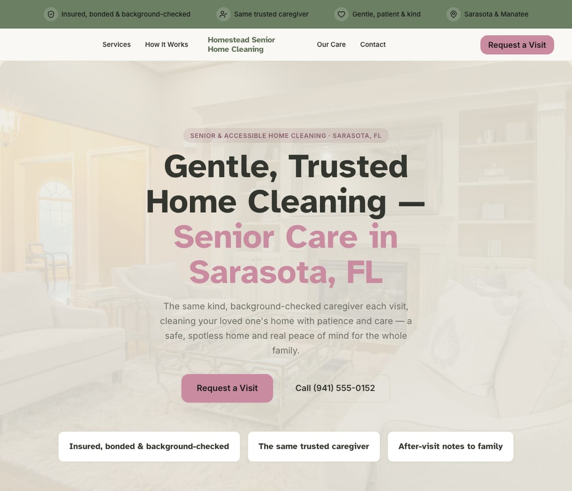 Senior Home Cleaning website template preview