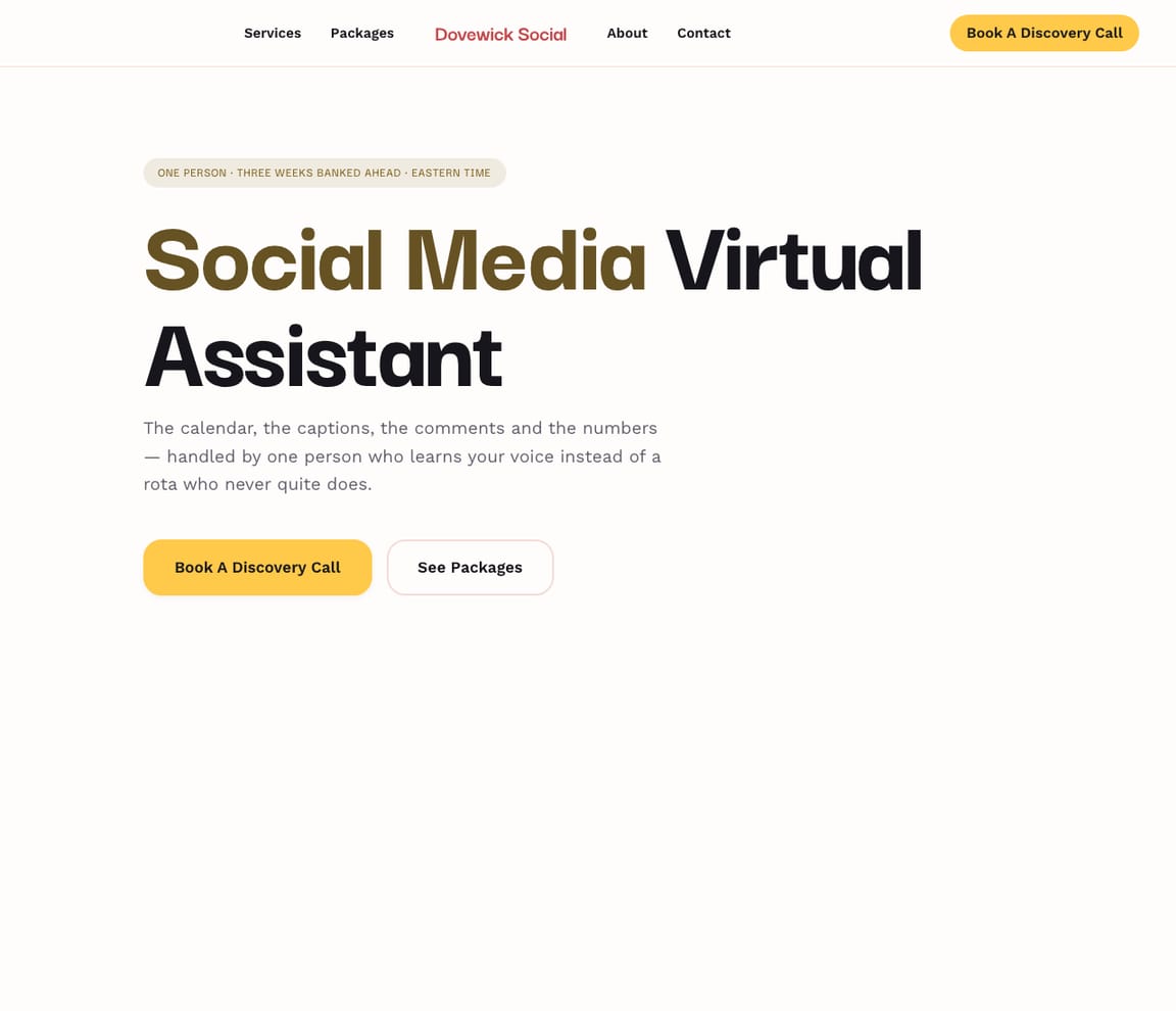 Social Media Virtual Assistant website template preview