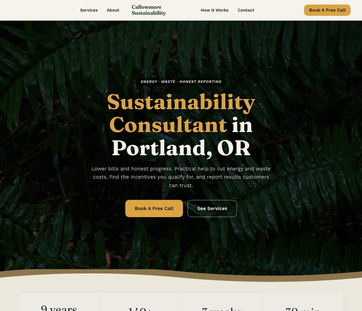 Home page of the Sustainability Consultant website template