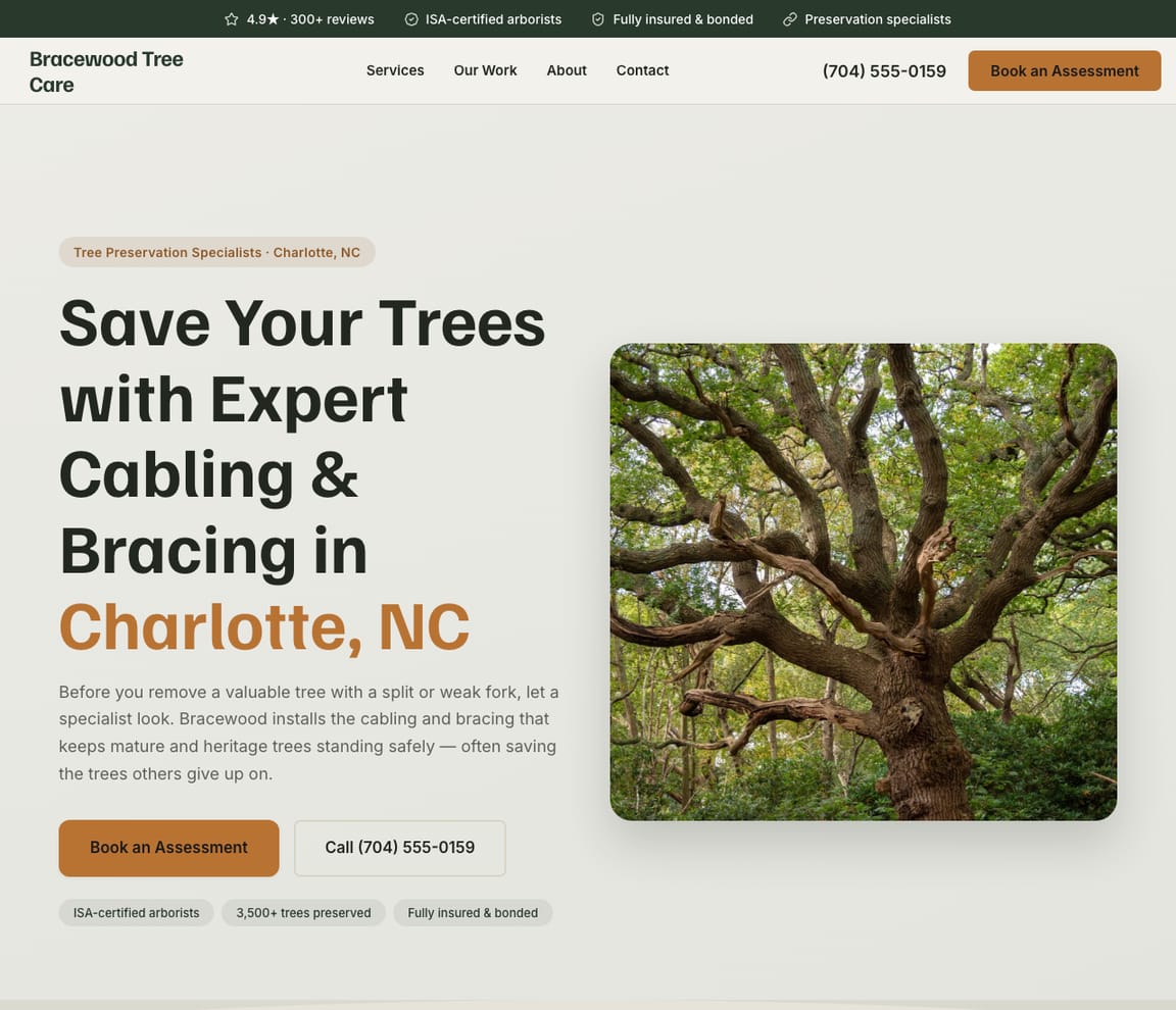 Tree Cabling & Bracing website template preview