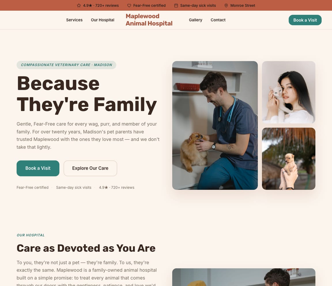 Veterinary Clinic website template preview