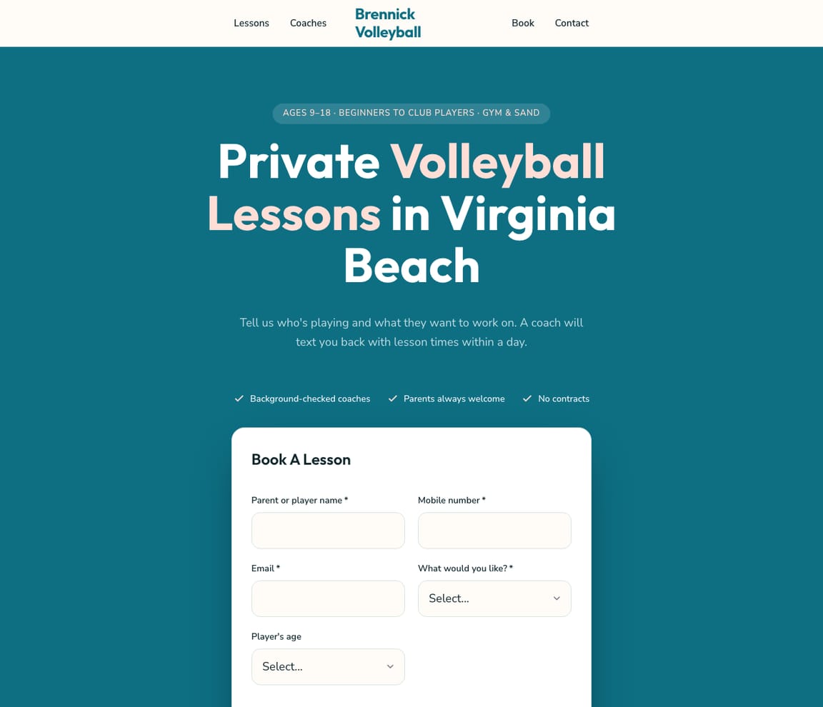 Volleyball Lessons website template preview